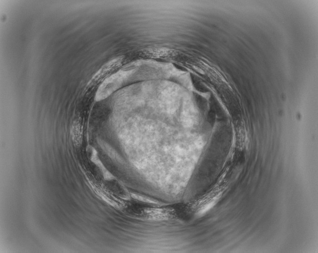 X0000087400558200705111828