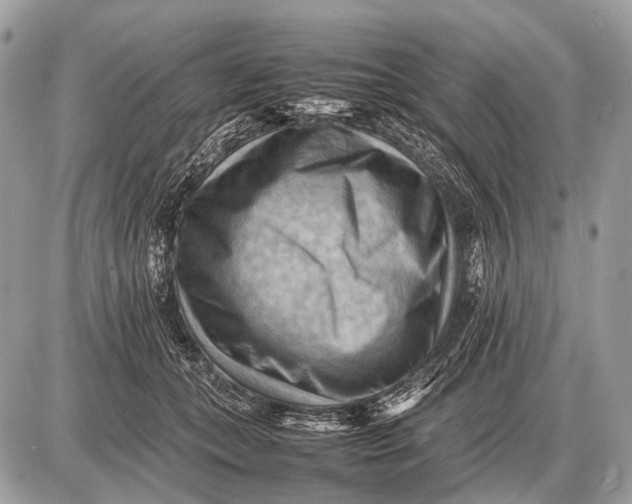 X0000087400559200705111828