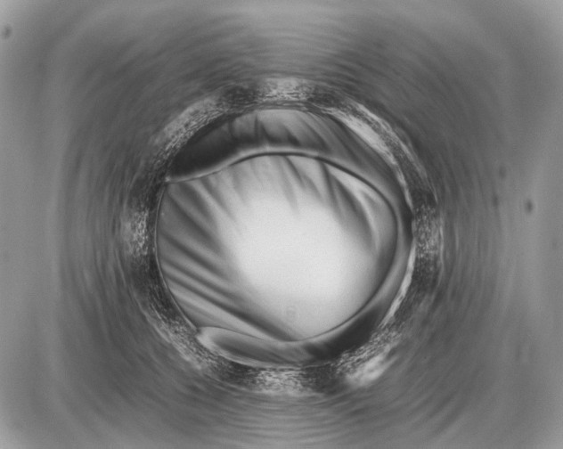 X0000087400560200705111828