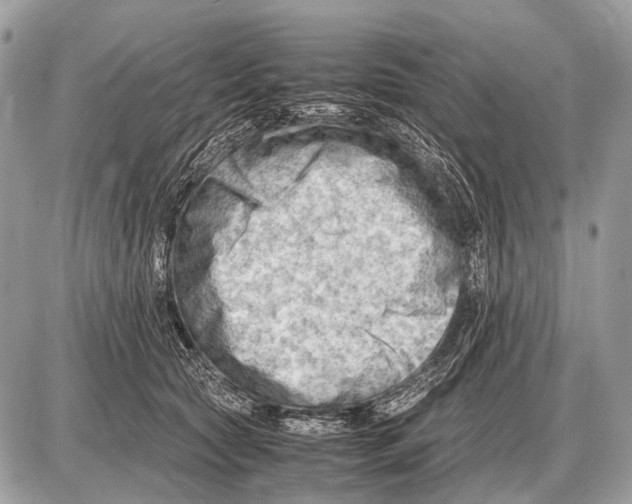 X0000087400561200705111828