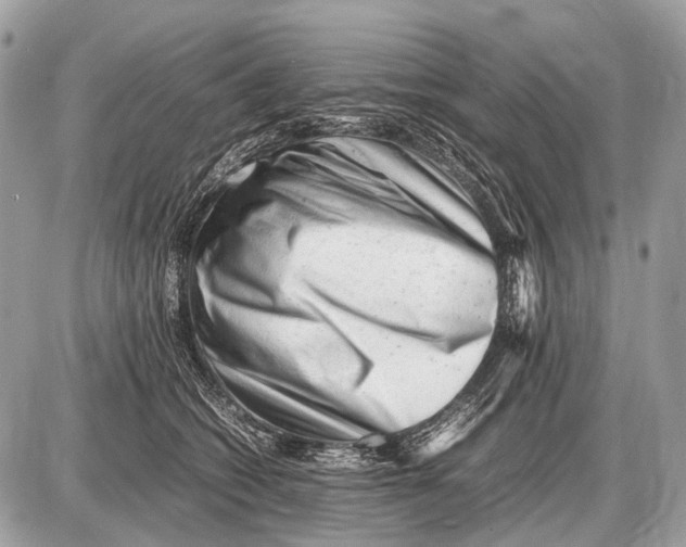 X0000087400562200705111828