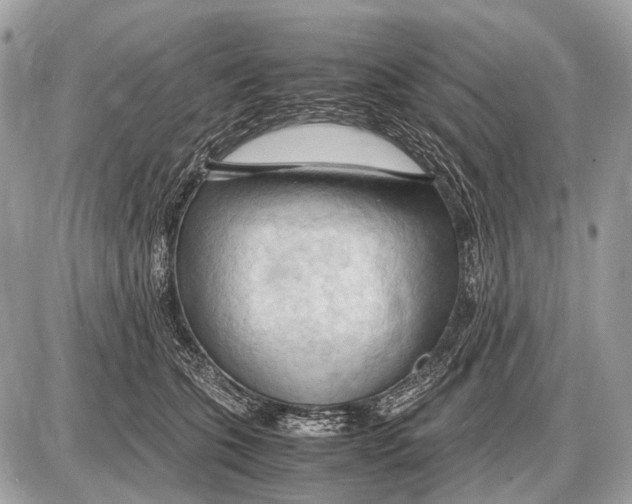 X0000087400563200705111828