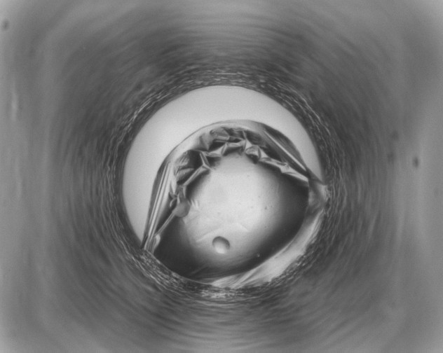 X0000087400564200705111828