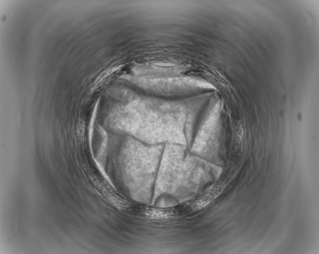 X0000087400565200705111828