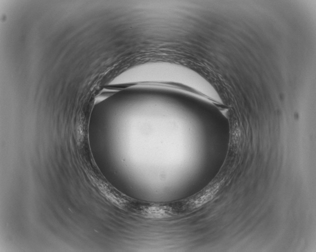 X0000087400566200705111828