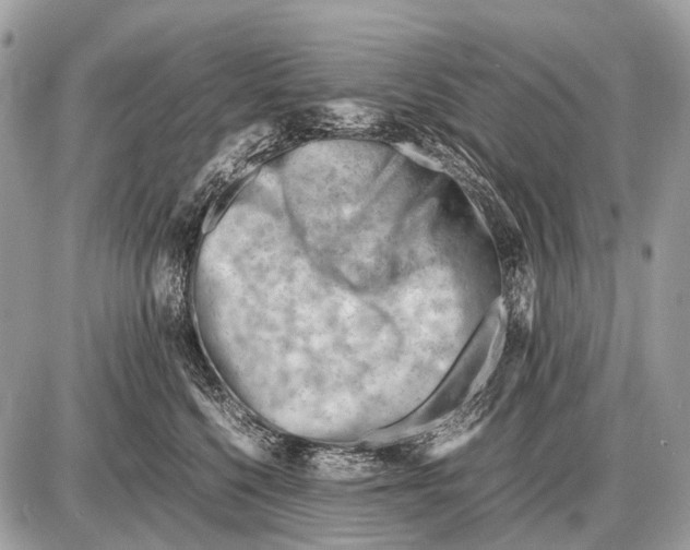 X0000087400568200705111828