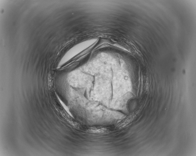 X0000087400569200705111829