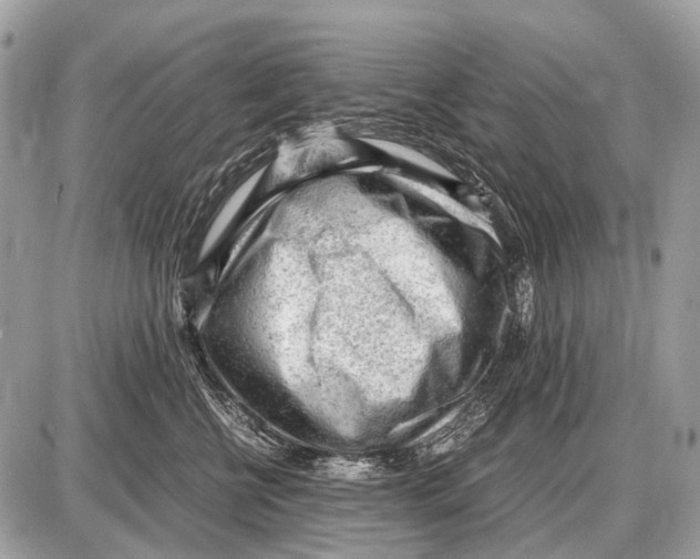 X0000087400570200705111829