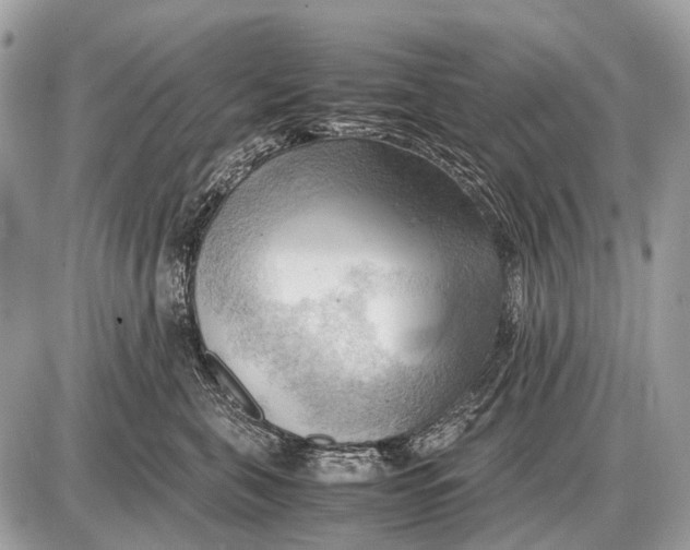 X0000087400571200705111829