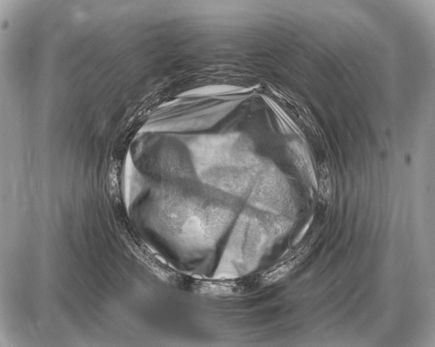 X0000087400573200705111829