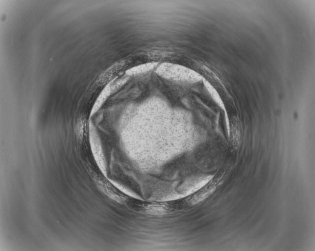 X0000087400574200705111829