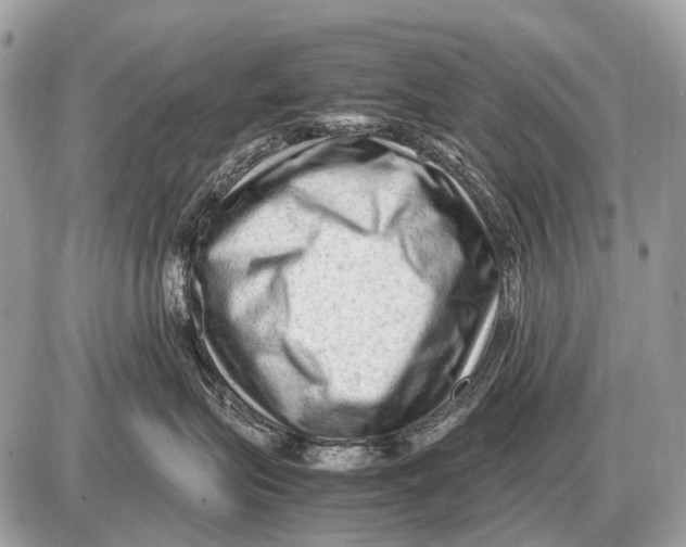 X0000087400575200705111829