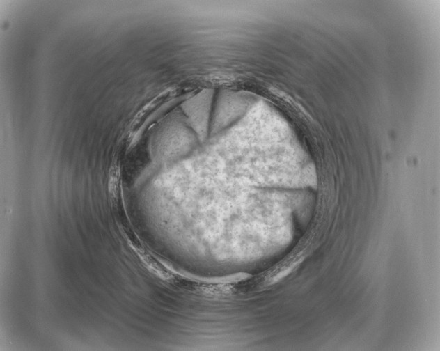 X0000087400576200705111829