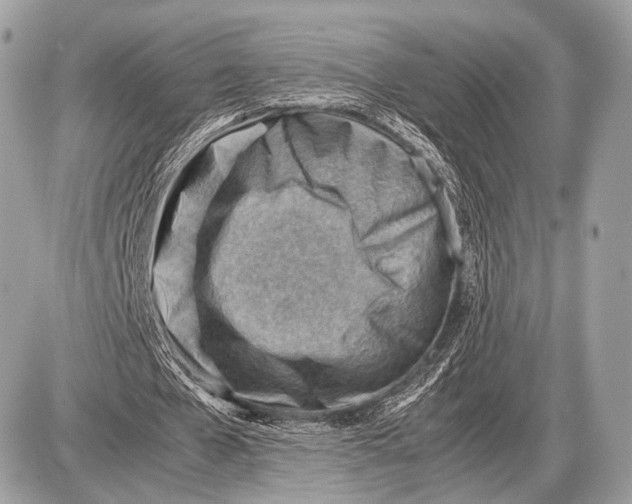 X0000087400577200705111828