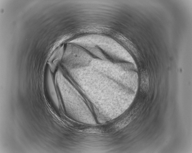 X0000087400578200705111828