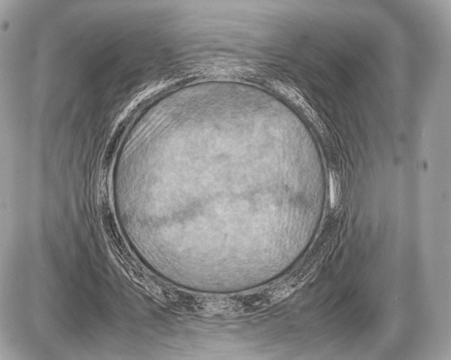 X0000087400579200705111828