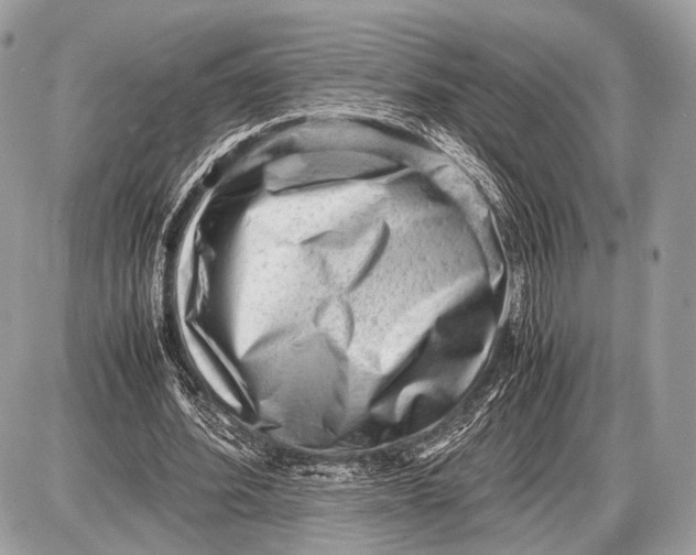 X0000087400580200705111828