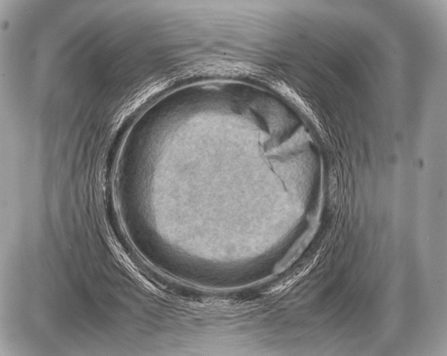 X0000087400581200705111828