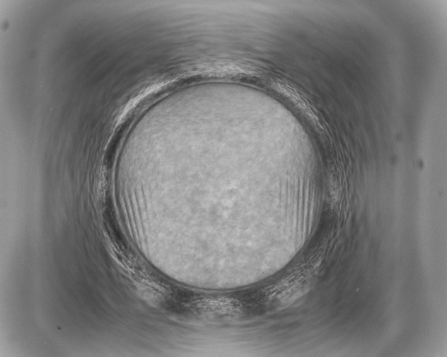 X0000087400583200705111828