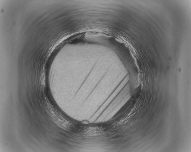 X0000087400584200705111828