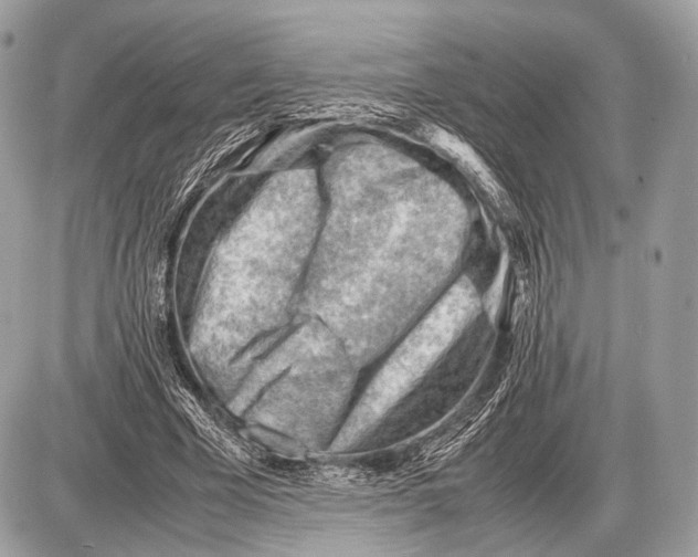 X0000087400585200705111828