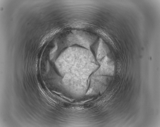 X0000087400586200705111828