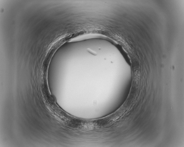 X0000087400587200705111828