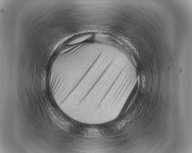 X0000087400588200705111828