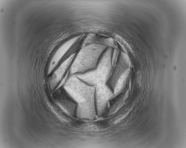 X0000087400589200705111828