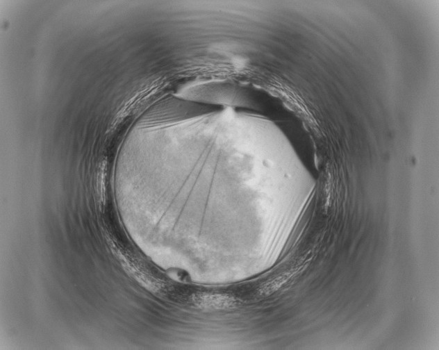 X0000087400590200705111828