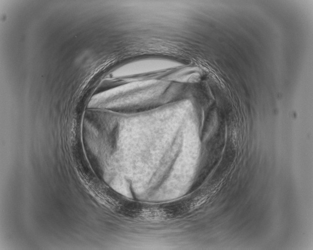 X0000087400591200705111828