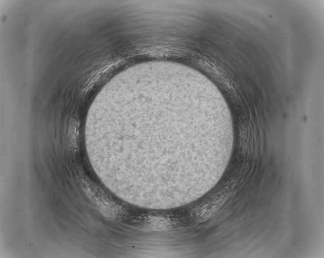 X0000087400592200705111828