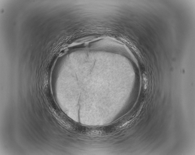 X0000087400593200705111828