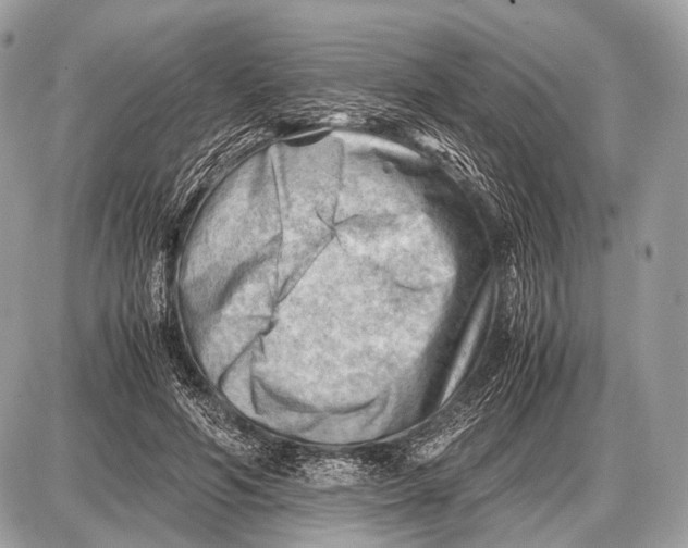 X0000087400594200705111828