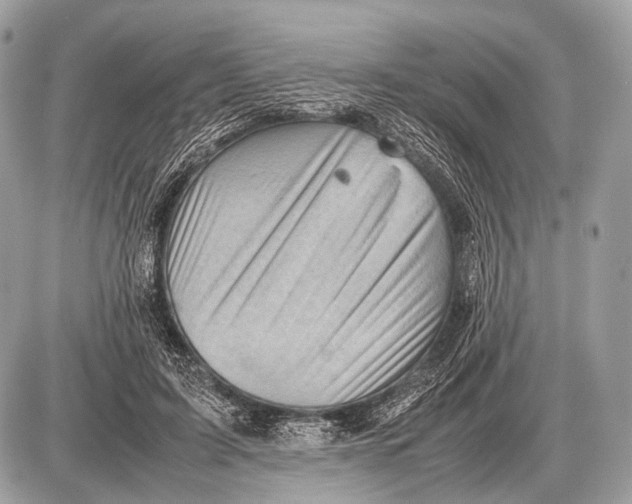 X0000087400595200705111828