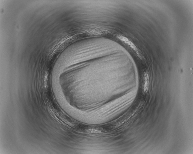 X0000087400596200705111828