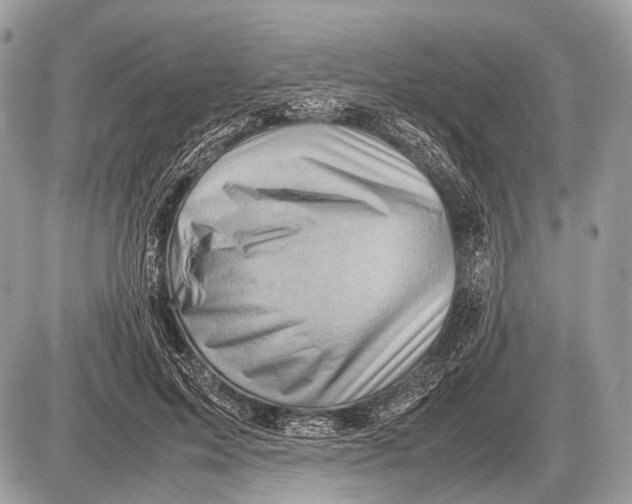 X0000087400599200705111827