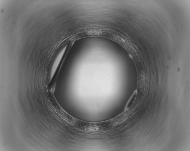 X0000087400600200705111827