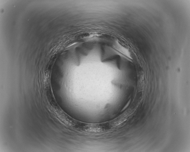 X0000087400601200705111827