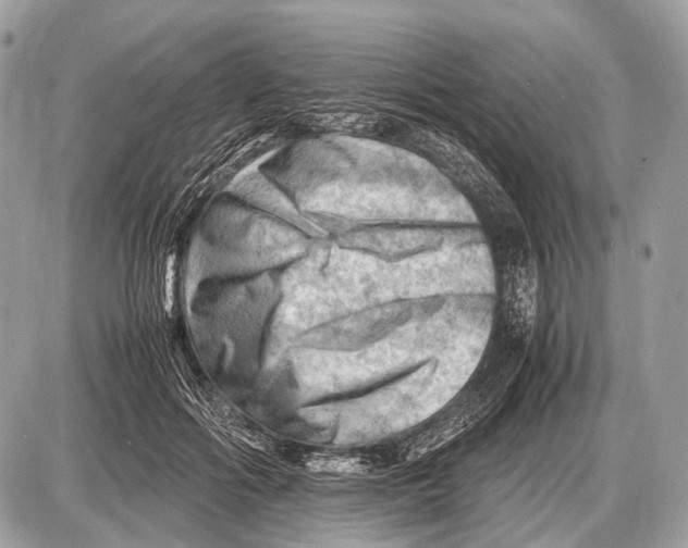 X0000087400602200705111827