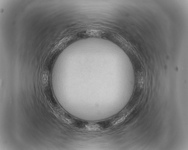 X0000087400603200705111827