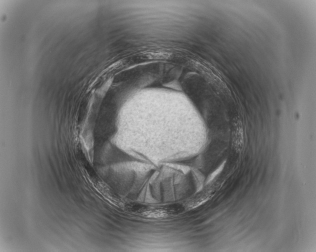 X0000087400604200705111827