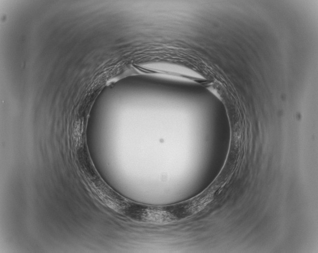 X0000087400605200705111827