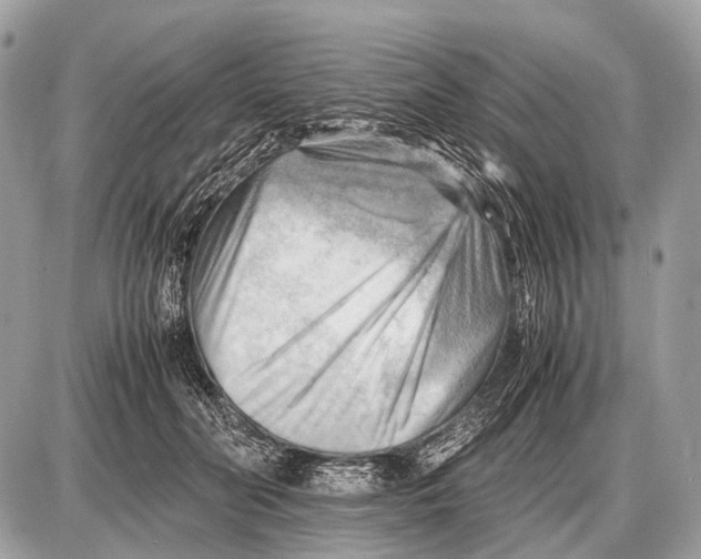 X0000087400606200705111827