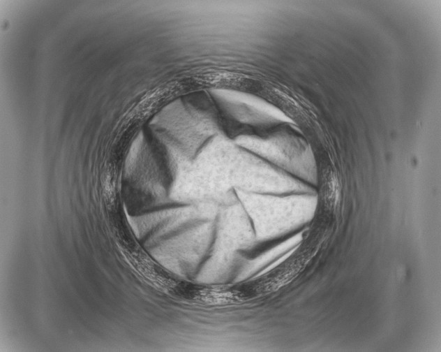 X0000087400607200705111827