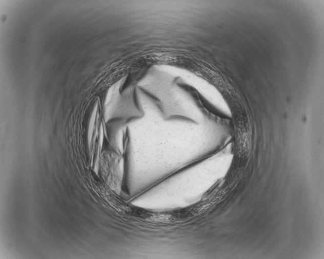 X0000087400609200705111827