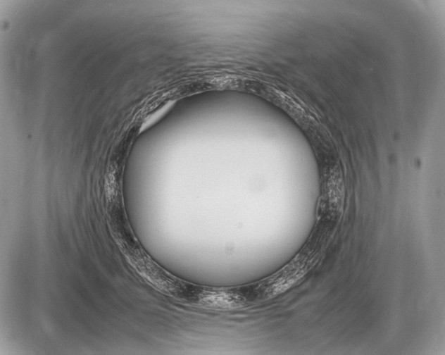 X0000087400611200705111827