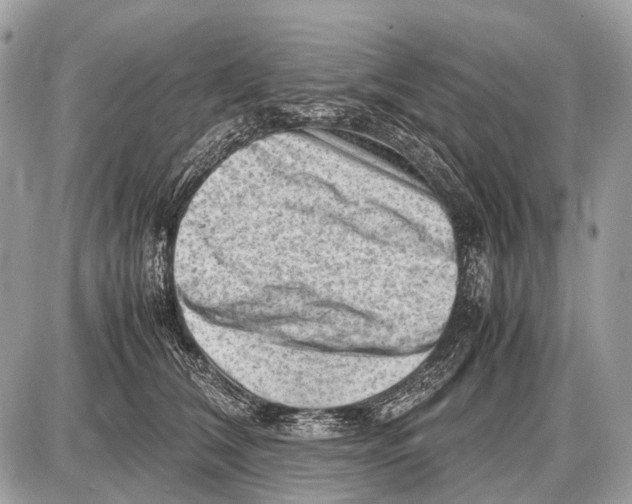 X0000087400612200705111827