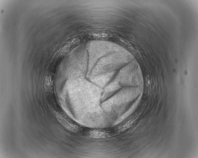 X0000087400614200705111827