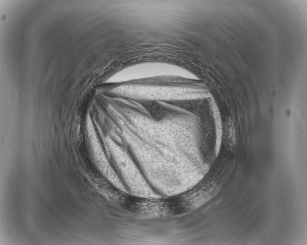 X0000087400615200705111827